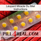 Léopard Miracle Du Miel Instructions new11